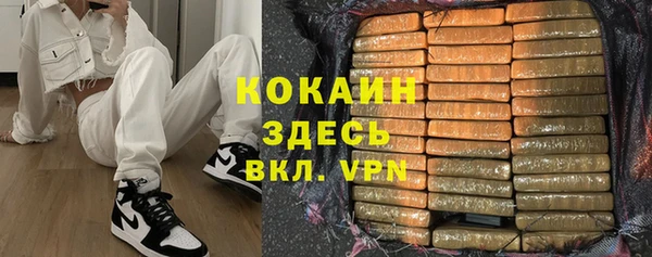 твердый Краснослободск