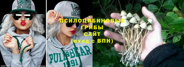 mdpv Костерёво