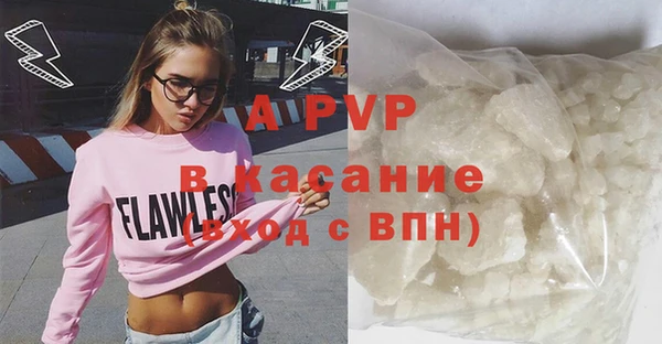 твердый Краснослободск