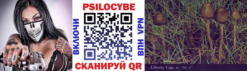Галлюциногенные грибы MAGIC MUSHROOMS  Суджа 